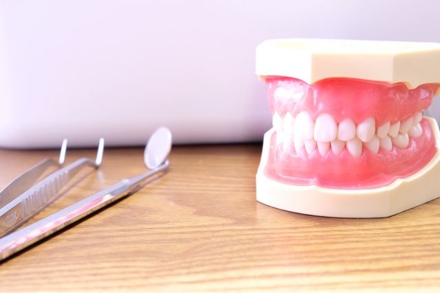 歯列模型と歯科器具