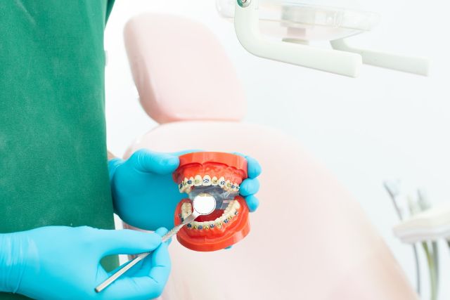 矯正装置を付けた模型の裏側を見る歯科医